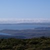 Point Reyes 09
